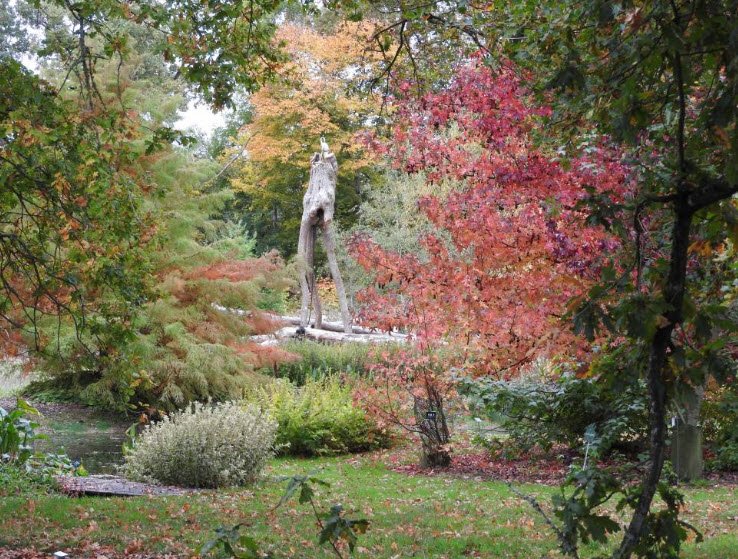 Bois du Puits Garden, , France